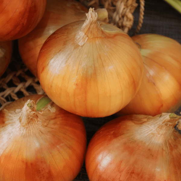 different ways to cut onions