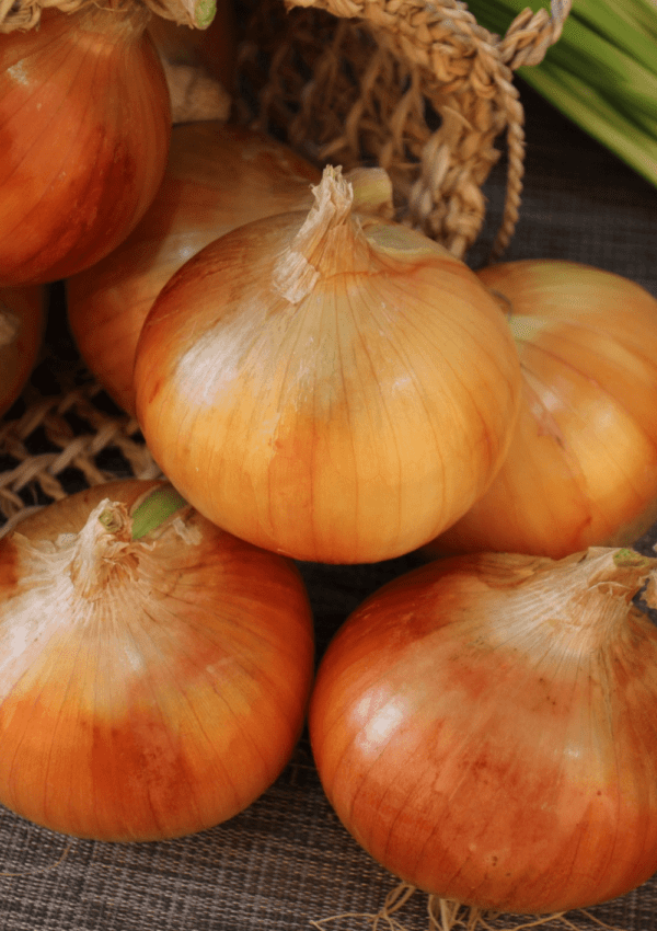 4 Different Ways to Cut Onions – The Ultimate Guide To Cutting Onions