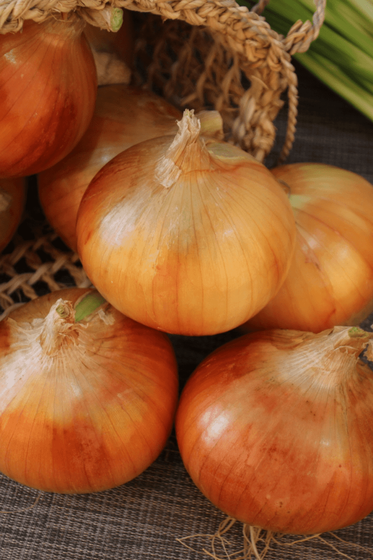 different ways to cut onions