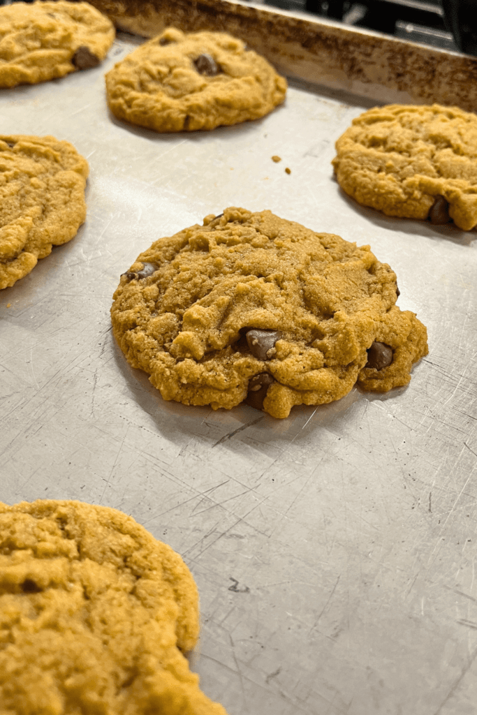 whole wheat chocolate chip cookies