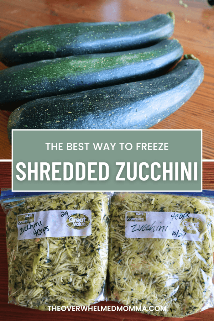 Freeze shredded zucchini