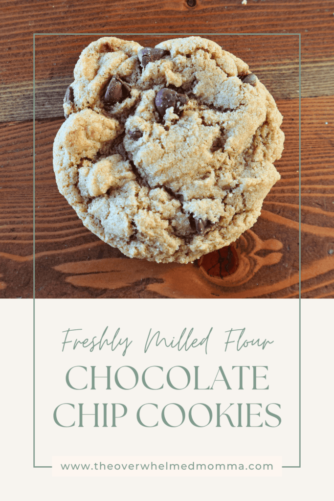 fresh milled flour chocolate chip cookies