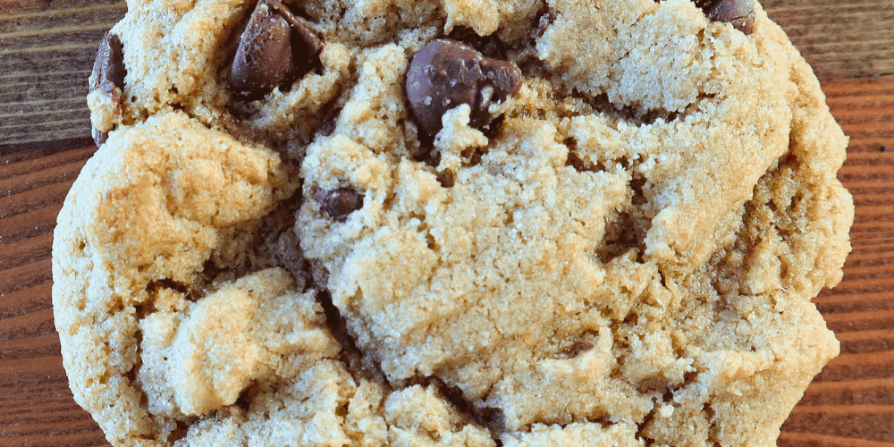 fresh milled flour chocolate chip cookies