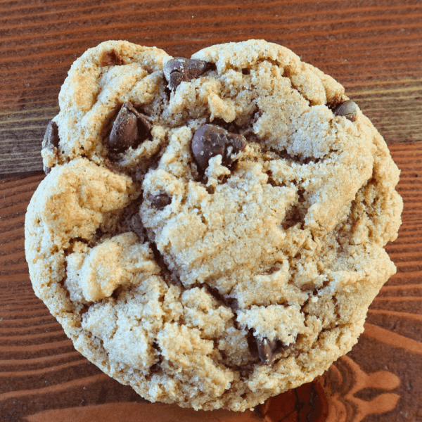 fresh milled flour chocolate chip cookies