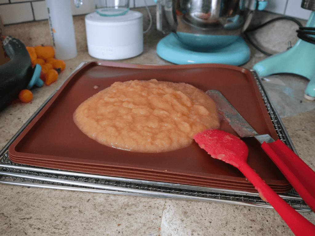 dehydrating applesauce