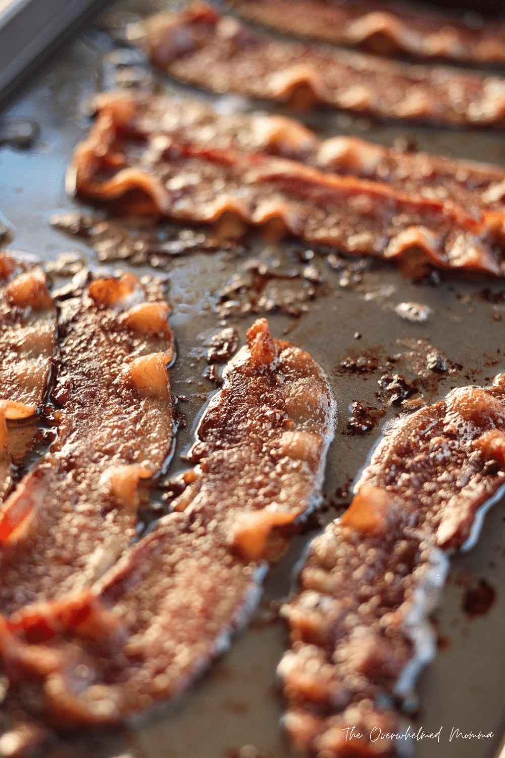 cooking bacon in cold oven