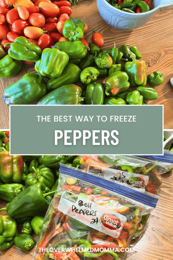 freeze green peppers