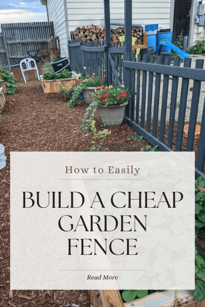 cheap garden fence