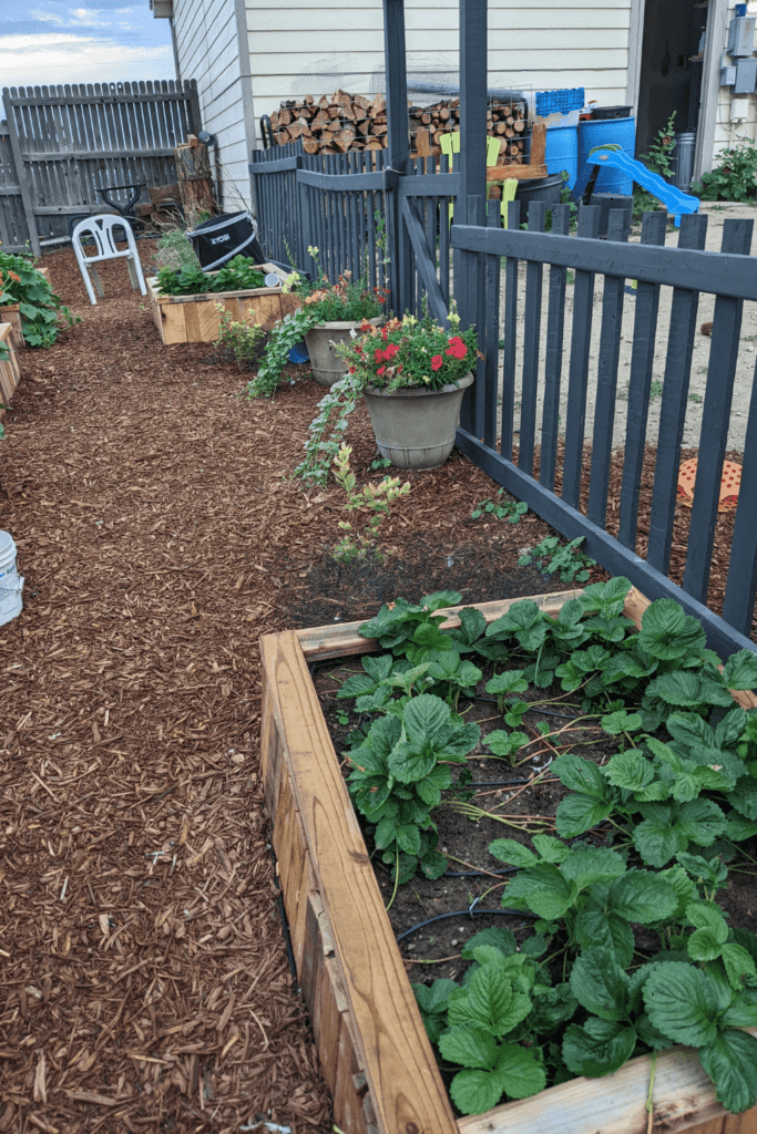 Pallet Fence
