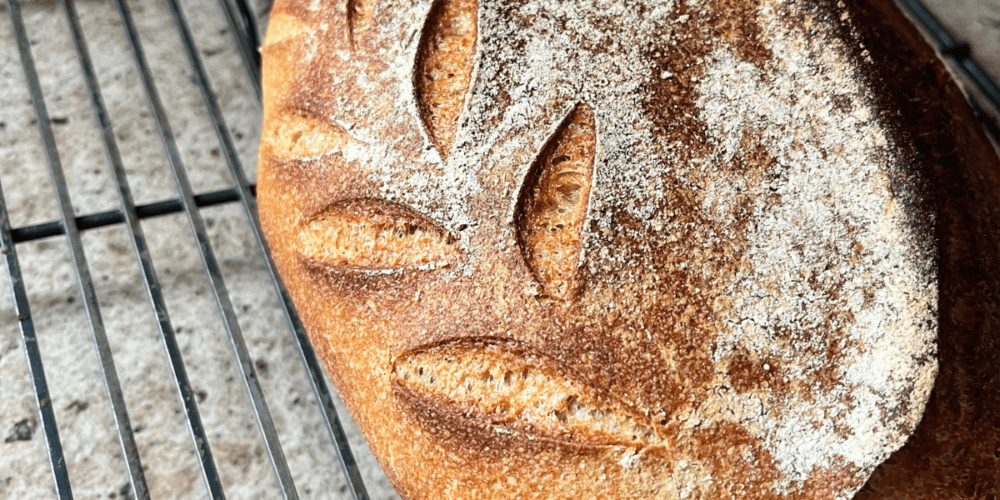sourdough for beginners