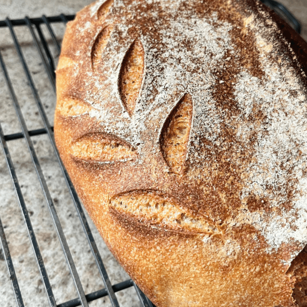 sourdough for beginners
