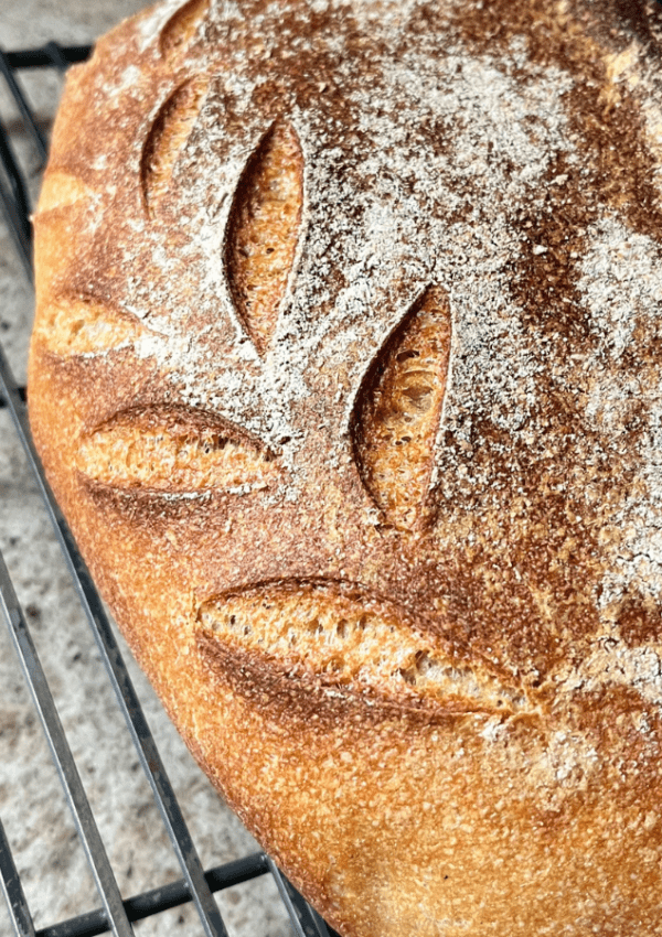Sourdough for Beginners: A Simple Guide to Getting Started