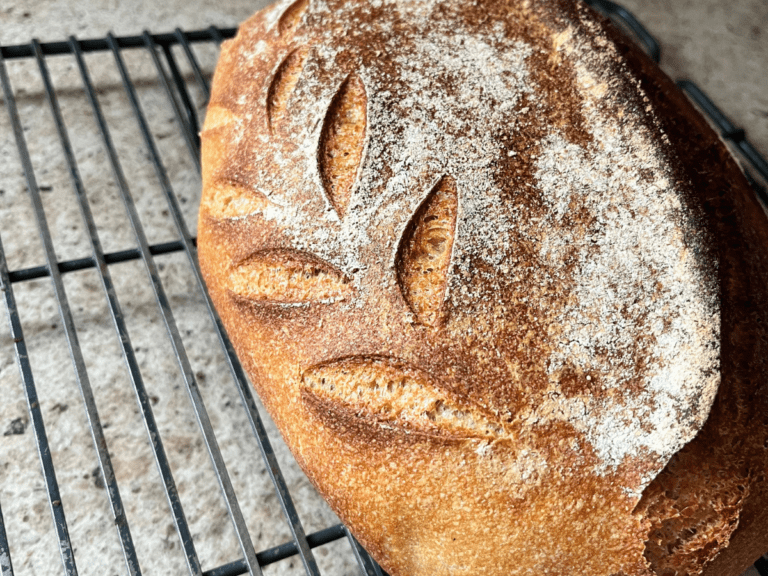 sourdough for beginners