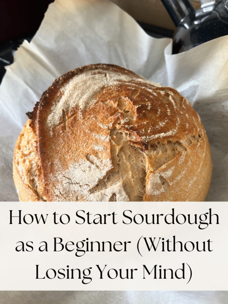 how to start sourdough as a beginner