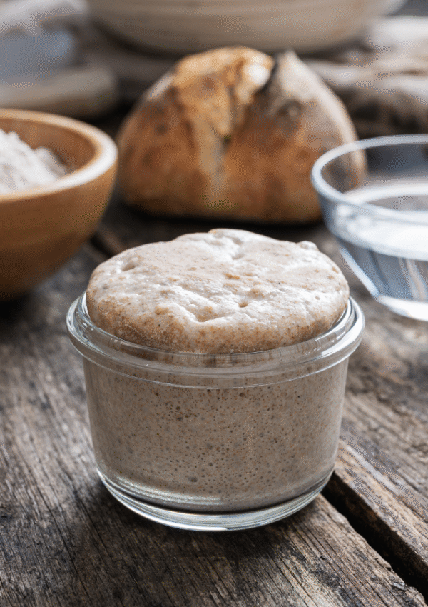 How to Transition Your Sourdough Starter to 100% Fresh Milled Flour (Without Killing It)