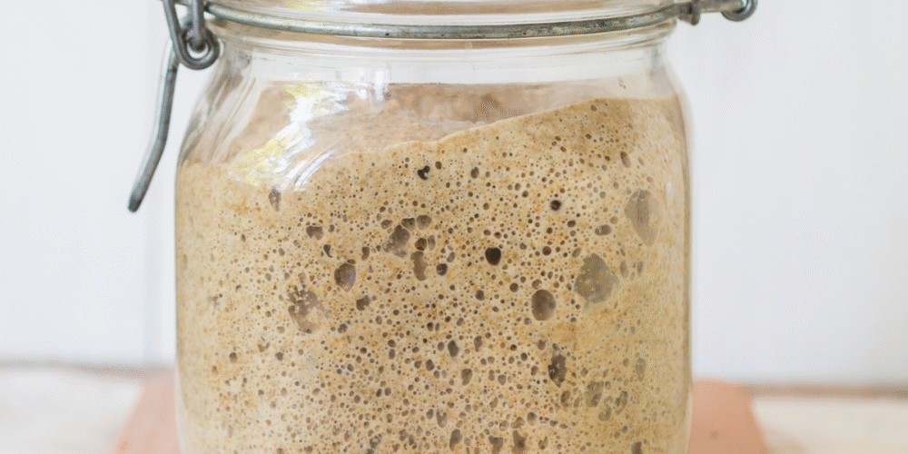 how to maintain a sourdough starter