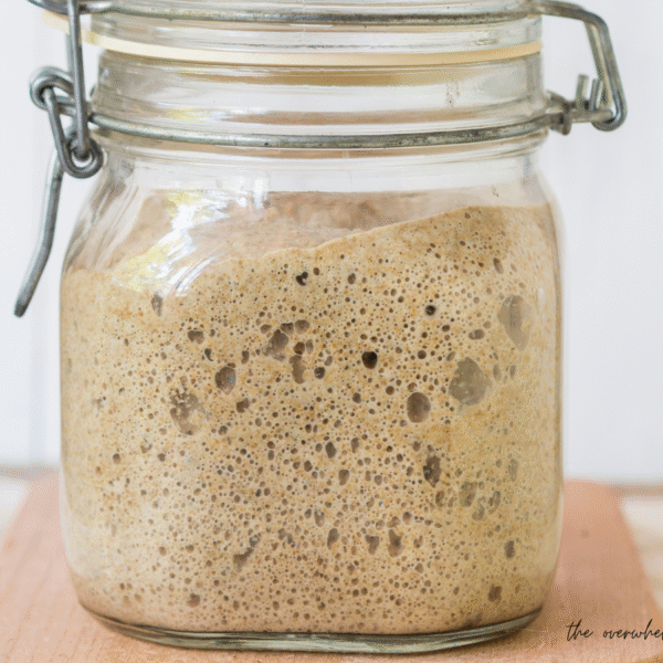 how to maintain a sourdough starter