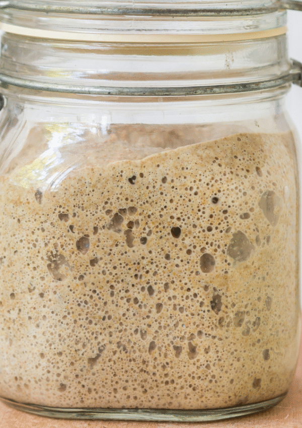 Sourdough Starter 101: A Gentle Guide for First-Timers