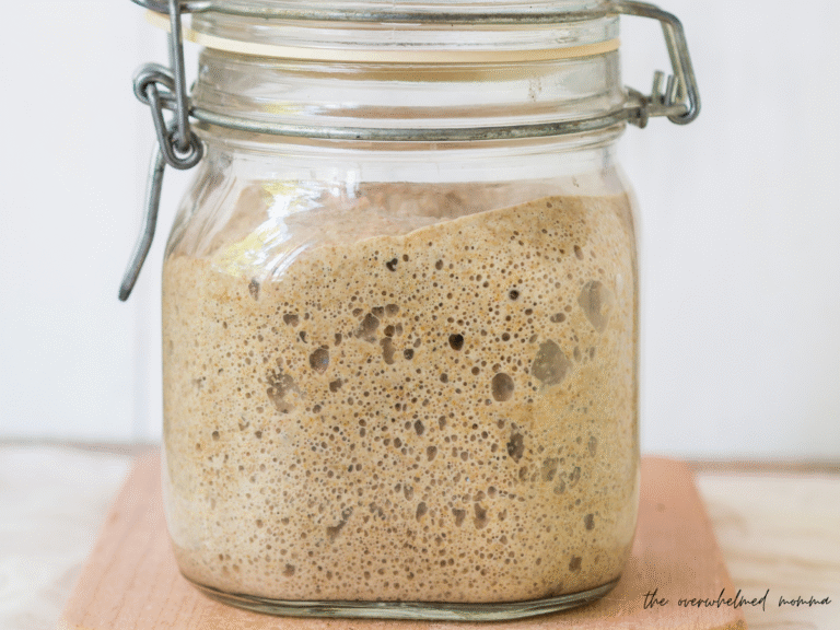 how to maintain a sourdough starter
