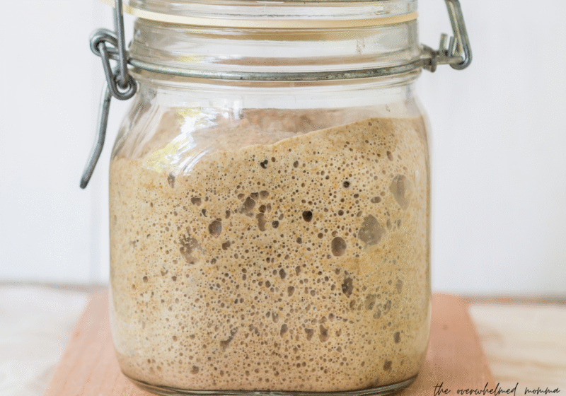 how to maintain a sourdough starter