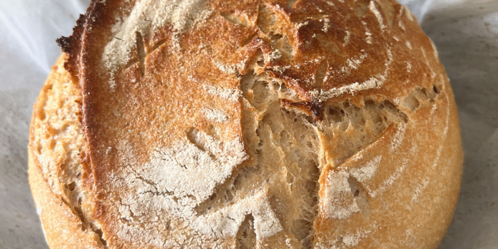how to start sourdough as a beginner