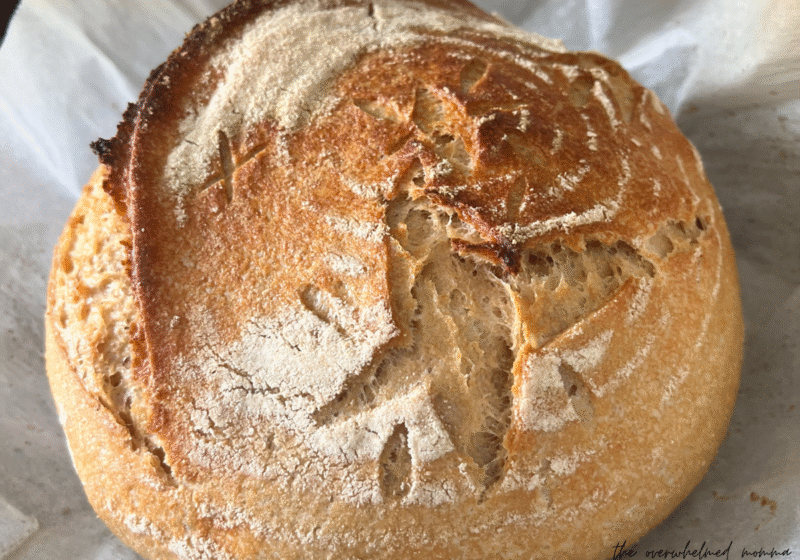 how to start sourdough as a beginner