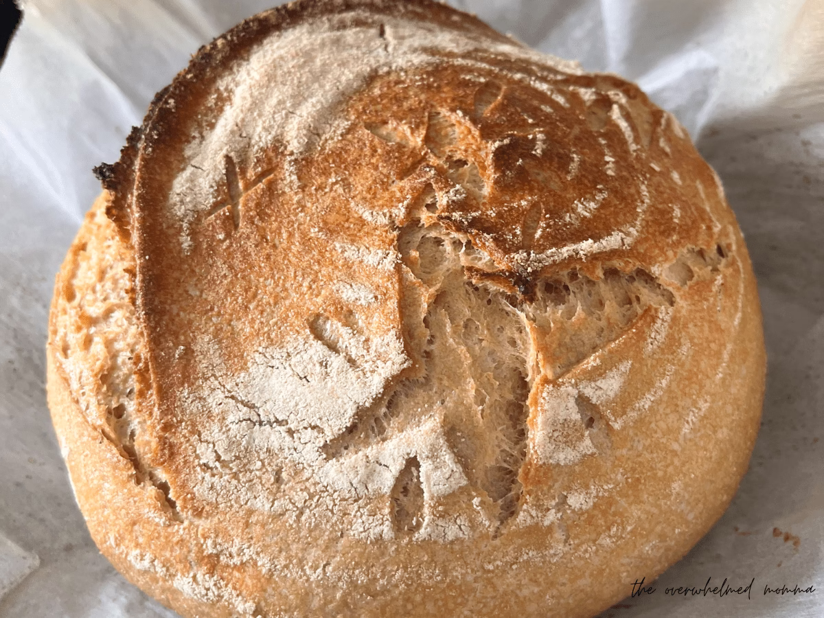 how to start sourdough as a beginner