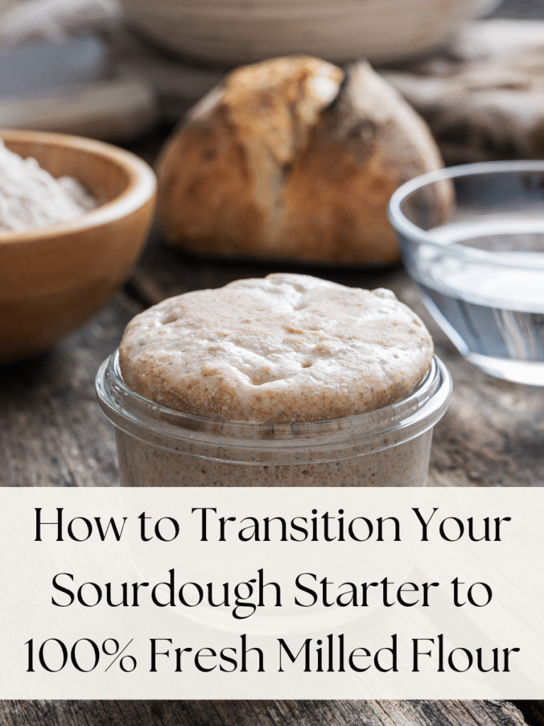 fresh milled flour sourdough starter