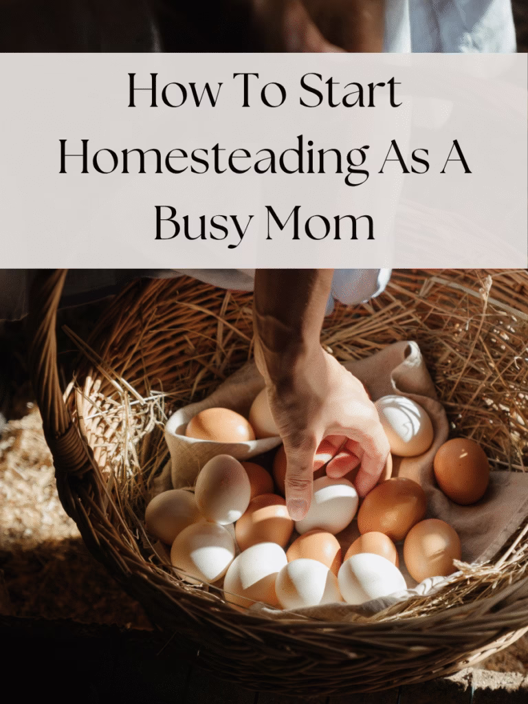 how to start homesteading as a beginner mom