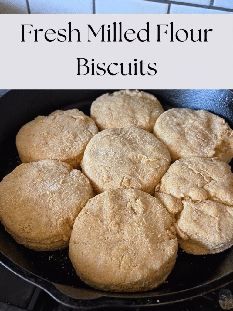 fresh milled flour biscuits