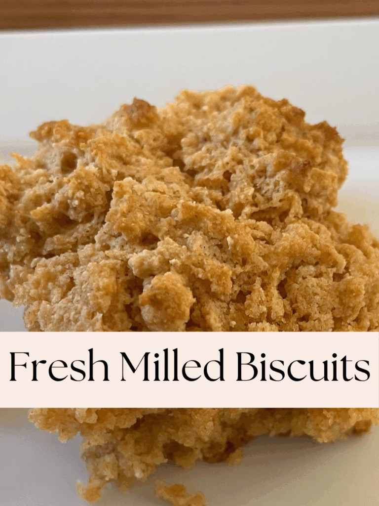 Fresh Milled Biscuits