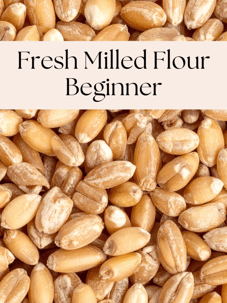 fresh milled flour beginner
