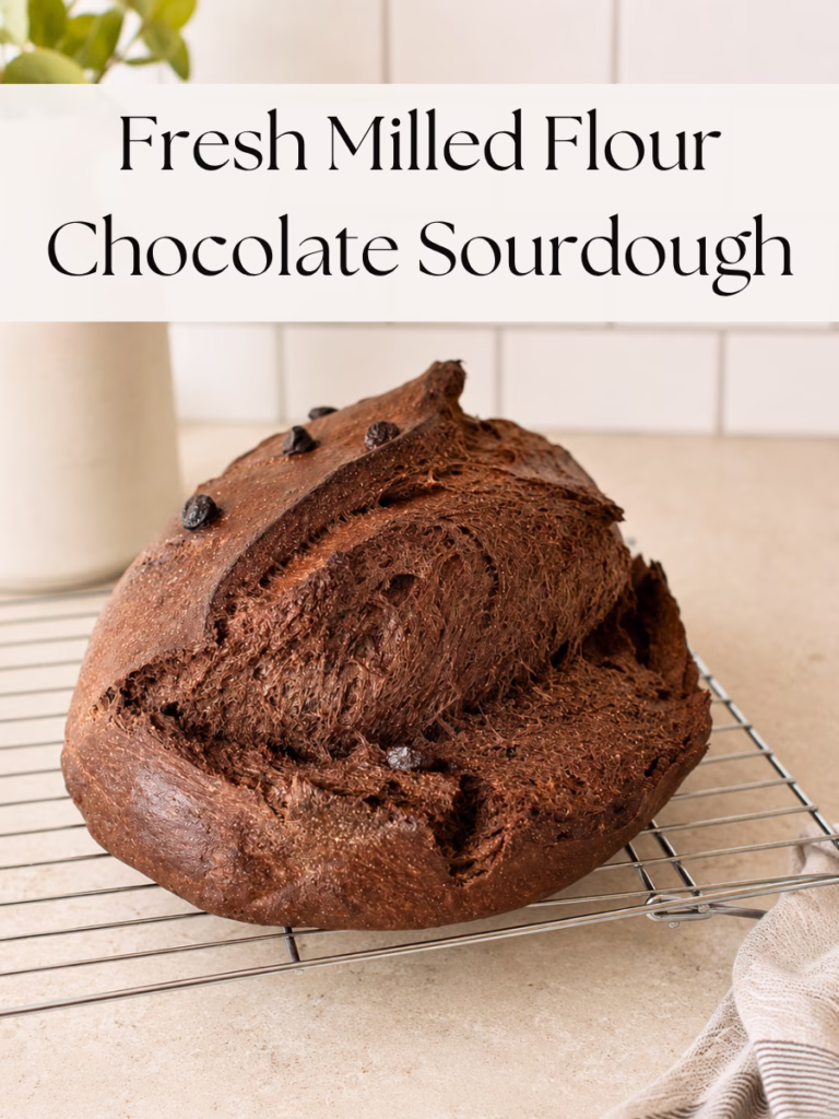 sourdough chocolate bread recipe